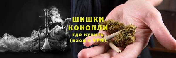 молекула духа Дмитровск