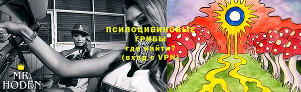 MDMA Дмитриев