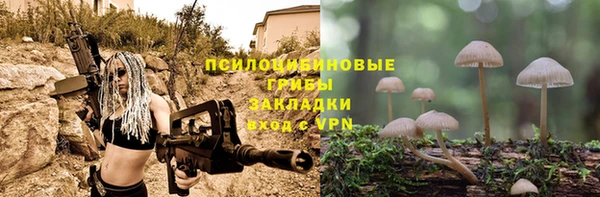 MDMA Дмитриев