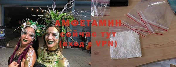 молекула духа Дмитровск