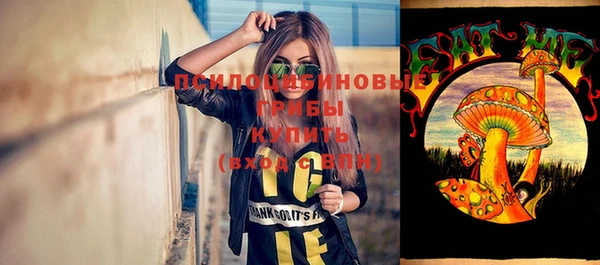 молекула духа Дмитровск