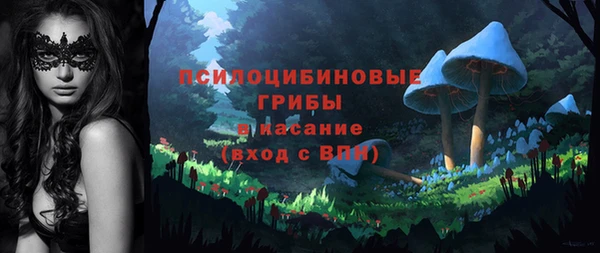 мяу мяу мука Дмитров